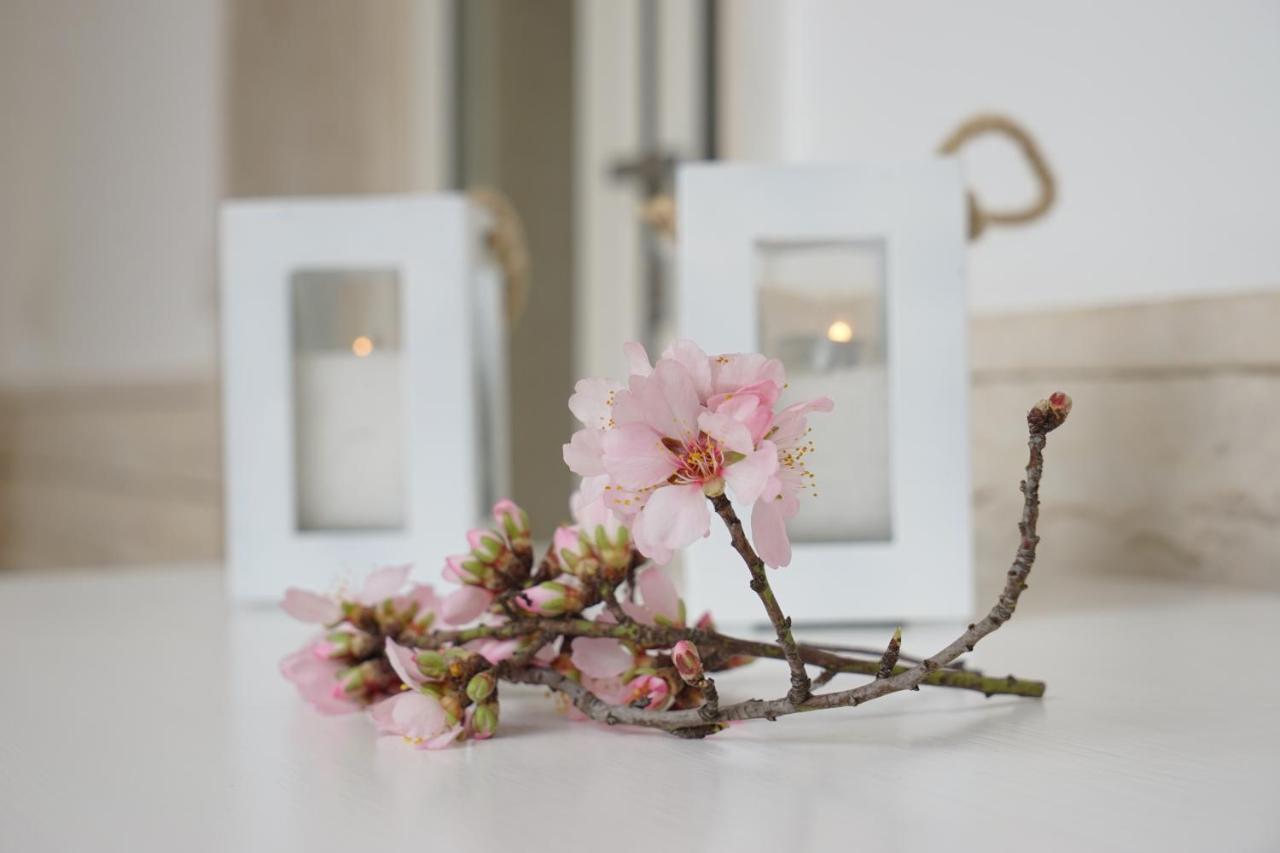 Femily B&B Bed And Breakfast Di Puglia In - Bari Grumo Appula Exteriör bild